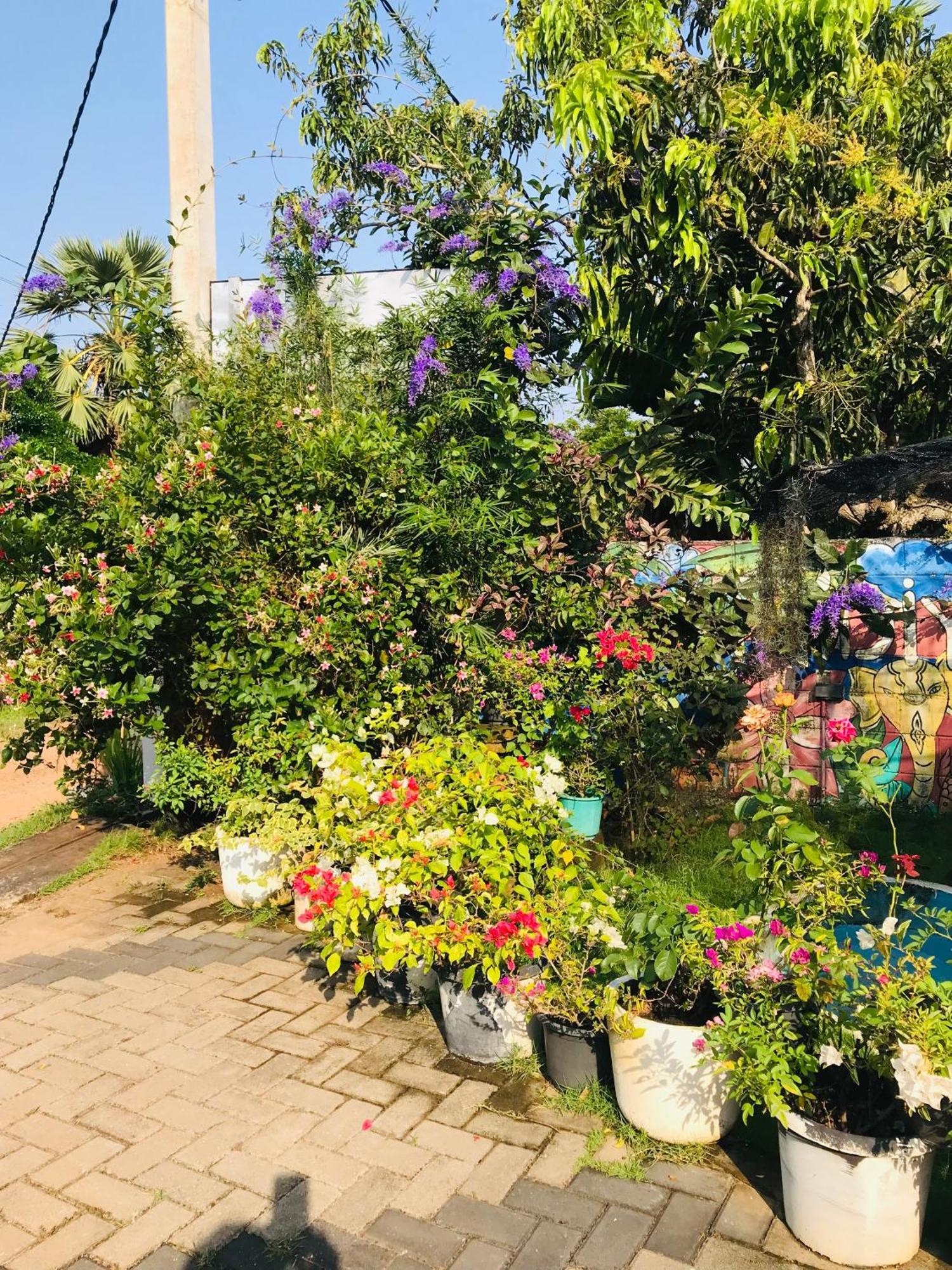 Pinidiya Resort Anuradhapura Bagian luar foto